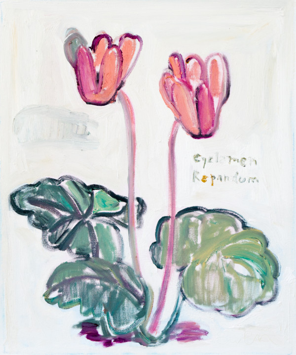Cyclamen Repandum by Anne-Louise Ewen