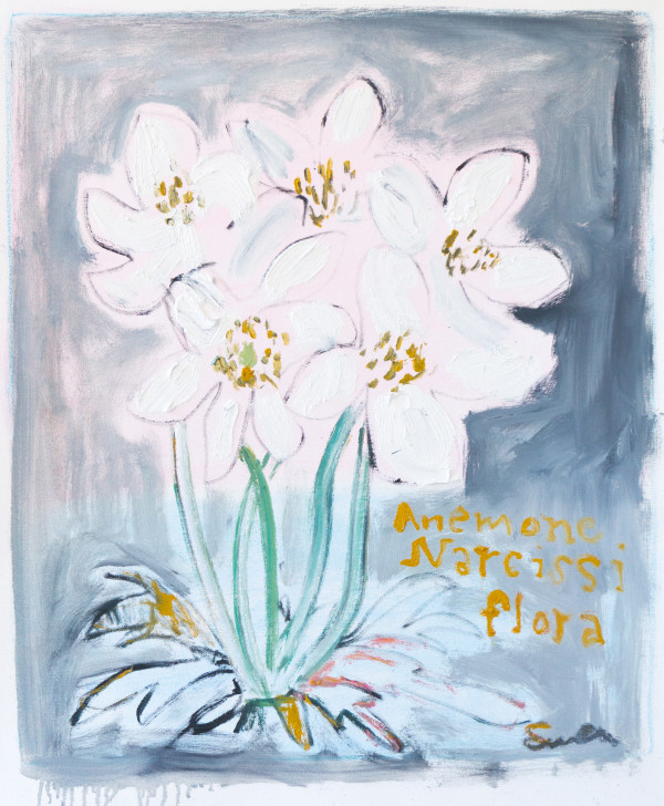 Anemone Narcissiflora