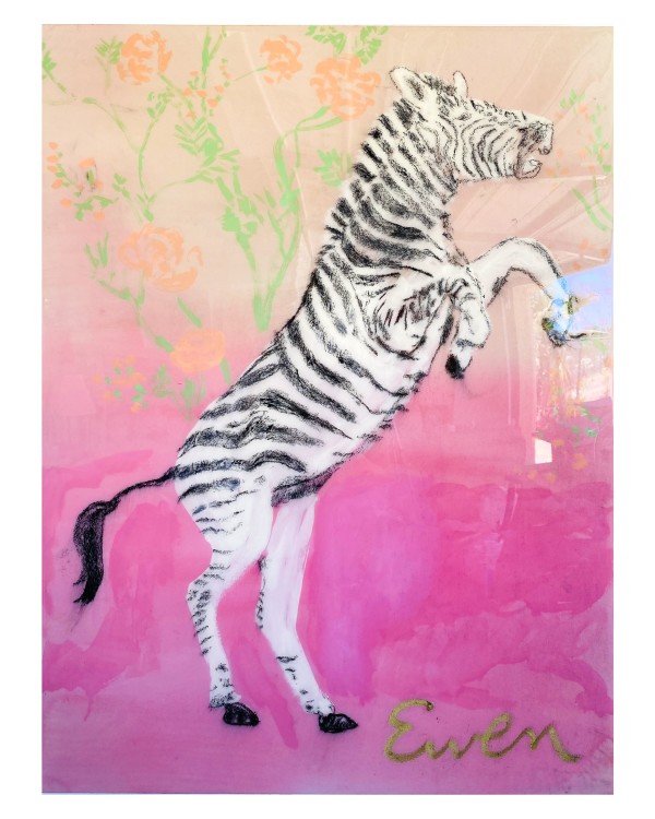Zebra by Anne-Louise Ewen