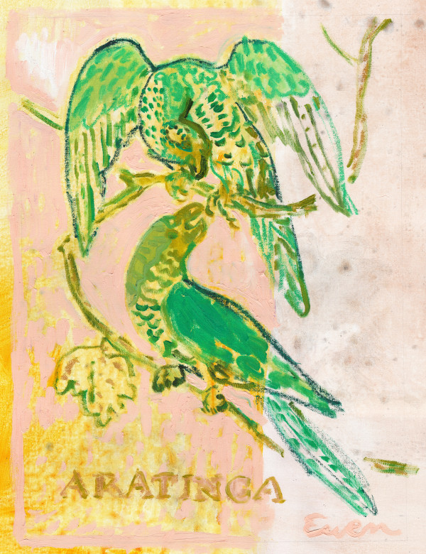 Aratinga (Sun Parakeets) by Anne-Louise Ewen