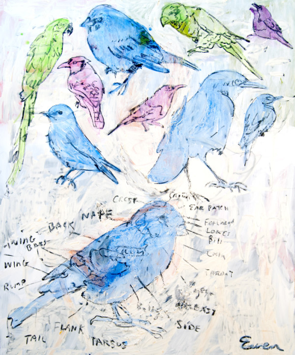 ThePartsOfABird_b5zsf2_1