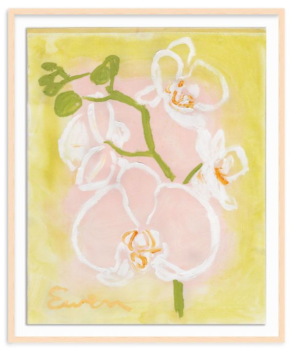 Orchids (No.8) by Anne-Louise Ewen