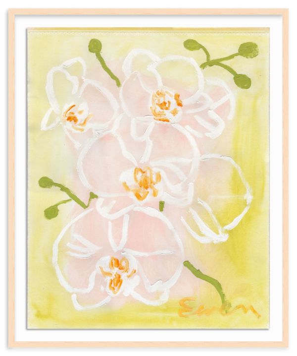 Orchids (No.7) by Anne-Louise Ewen