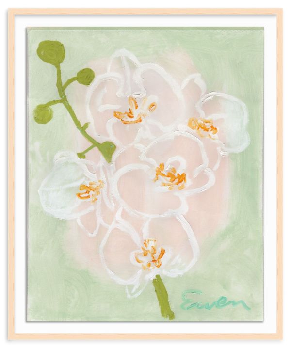 Orchids (No.3) by Anne-Louise Ewen