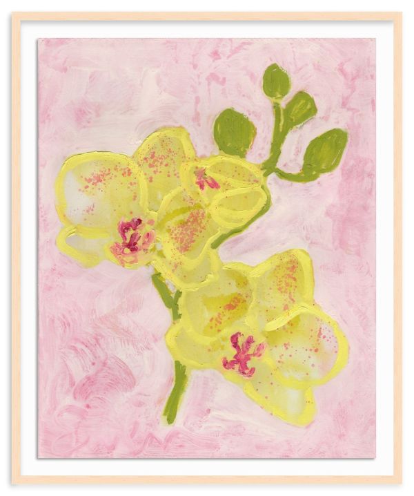 Orchids (No. 9) by Anne-Louise Ewen