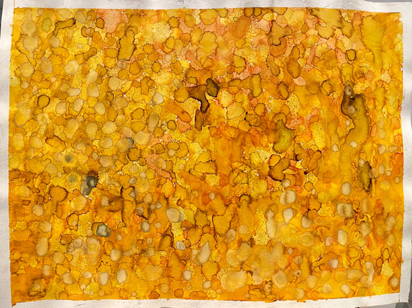 Untitled 150 by Bonnie Kaehler