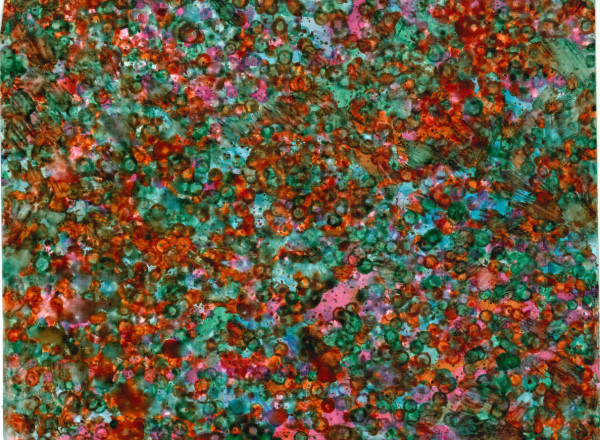 Untitled 121 by Bonnie Kaehler