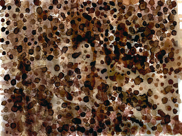 Untitled 156 by Bonnie Kaehler