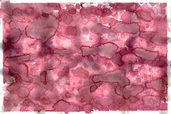 Untitled 163 by Bonnie Kaehler