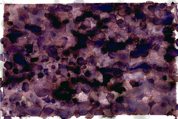 Untitled 164 by Bonnie Kaehler