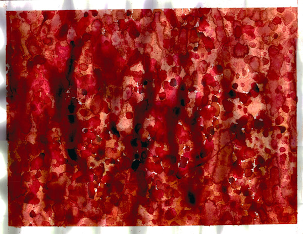 Untitled 167 by Bonnie Kaehler