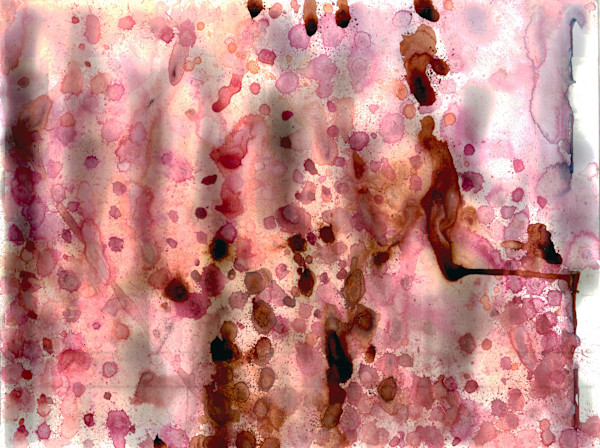 Untitled 169 by Bonnie Kaehler