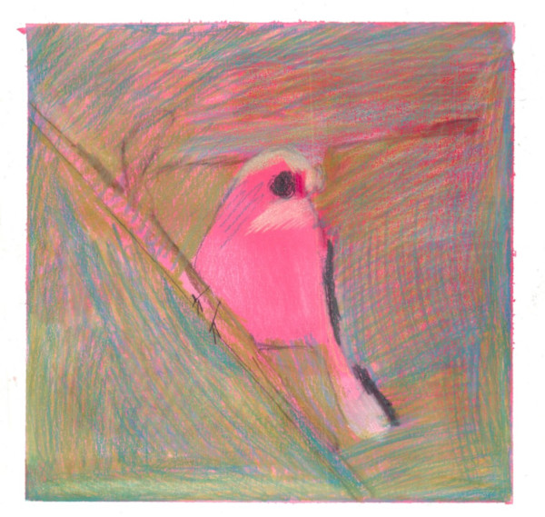 Untitled 3 by Jen Fiallo-Vallejo