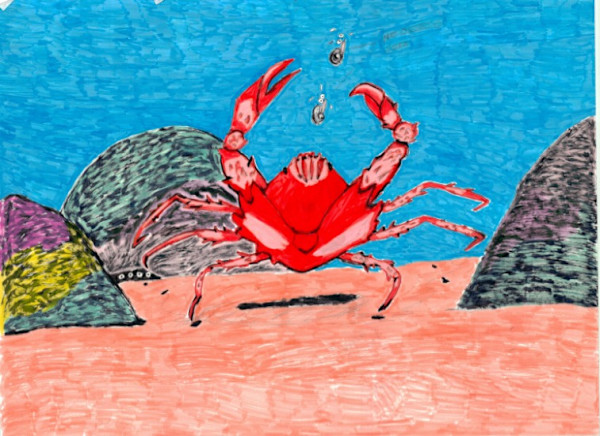 Untitled 5 by Cloresa Francoeur