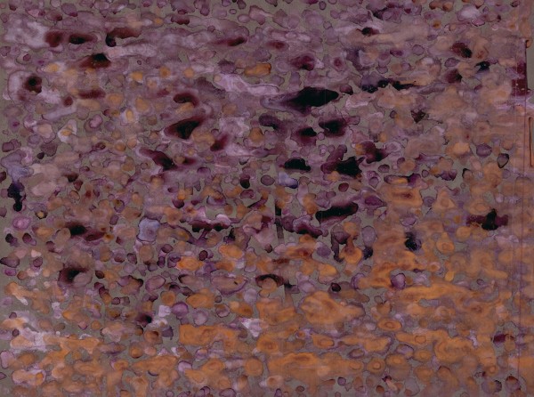Untitled 73 by Bonnie Kaehler