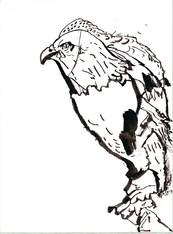Bird by Robert Robles
