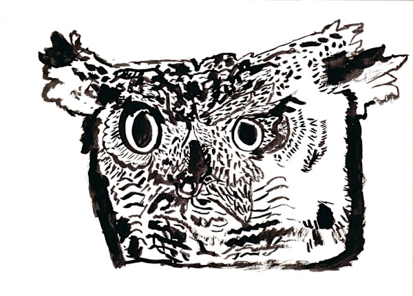 Owl by Robert Robles