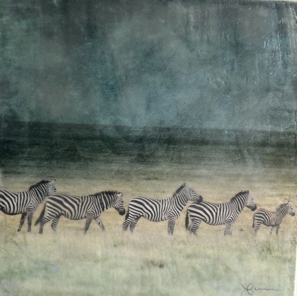 Zebra - Kabila (tribe) by Nancy Falconi
