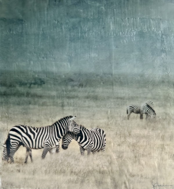 Zebra - Kuabudu (adore) by Nancy Falconi