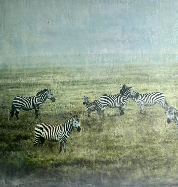Zebra - Kabila II by Nancy Falconi