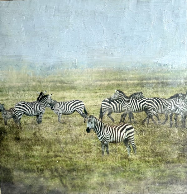 Zebra - Kabila I (tribe) by Nancy Falconi