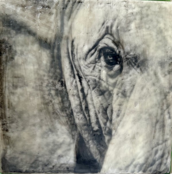 Inner Vision by Nancy Falconi