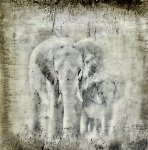 Got Your Back by Nancy Falconi