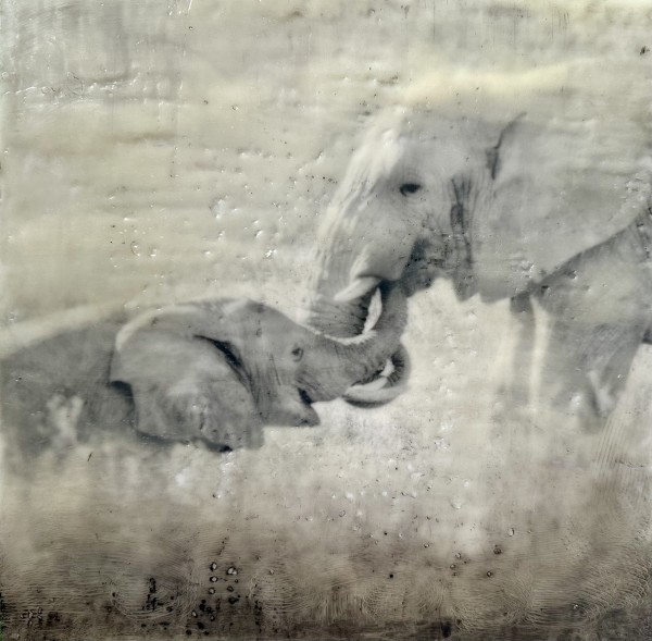 Shared Sustenance by Nancy Falconi
