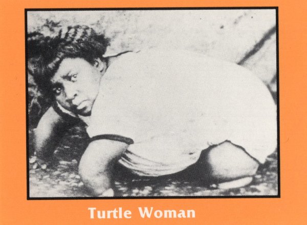 Alzoria Lewis, Turtle Woman at Sells-Floto sideshow by Unknown