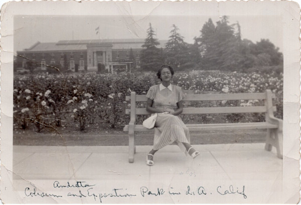 Andretta, Rose Garden, Coliseum and Exposition Park, Los Angeles by Unknown