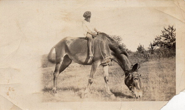Barefoot boy on horseback by Unknown, W.B. Farley's