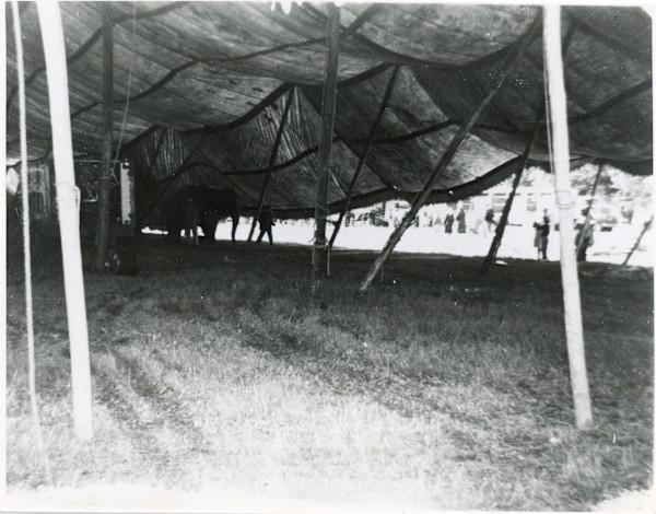 Circus tent by Unknown