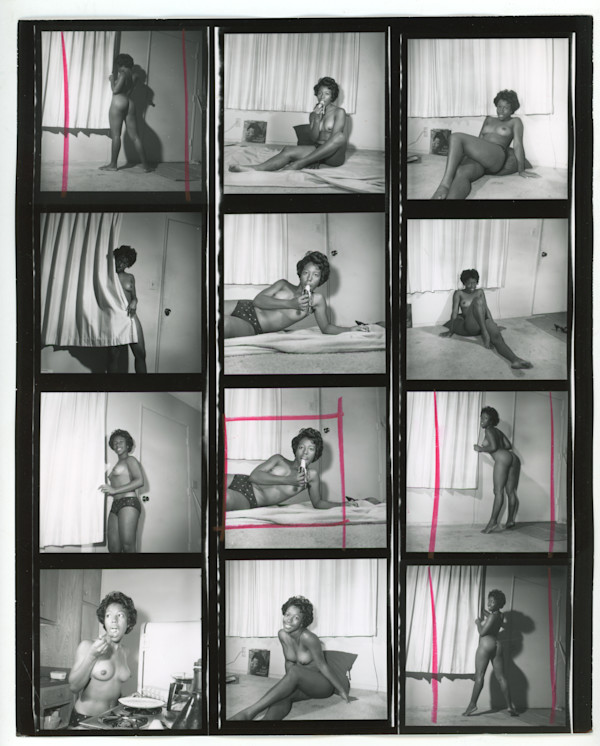 Cynthia Fractious / Shelly Barkley by Unknown