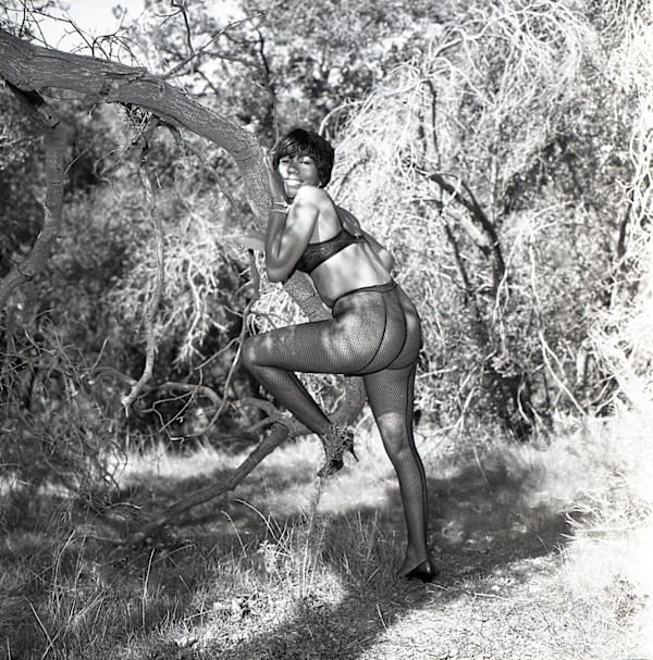 Lorraine Marriot by Unknown