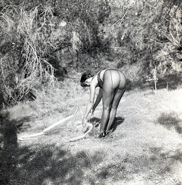 Lorraine Marriot by Unknown
