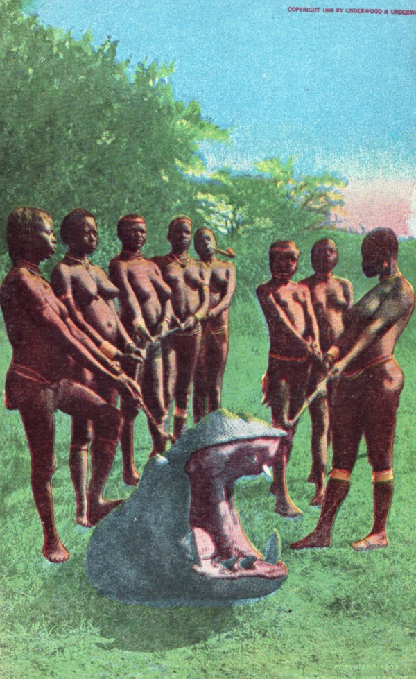 To Kill a Hippopotamus by Unknown