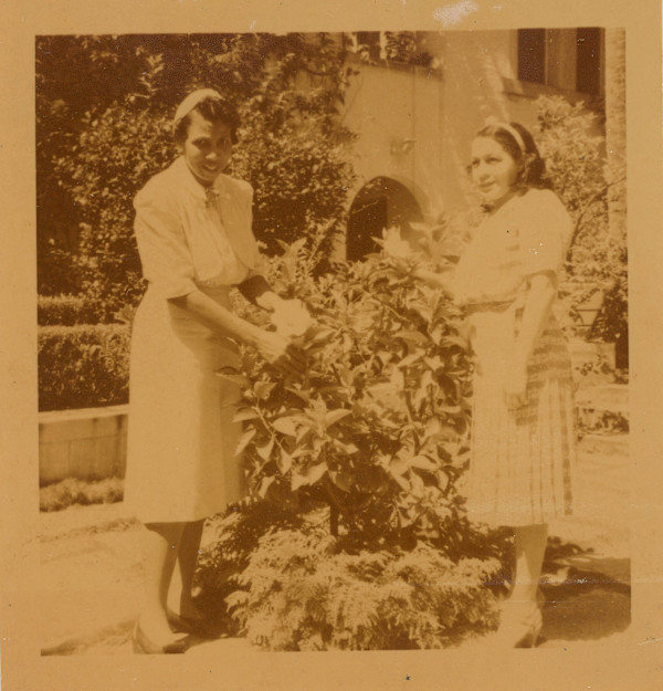 Two women with bush by Unknown
