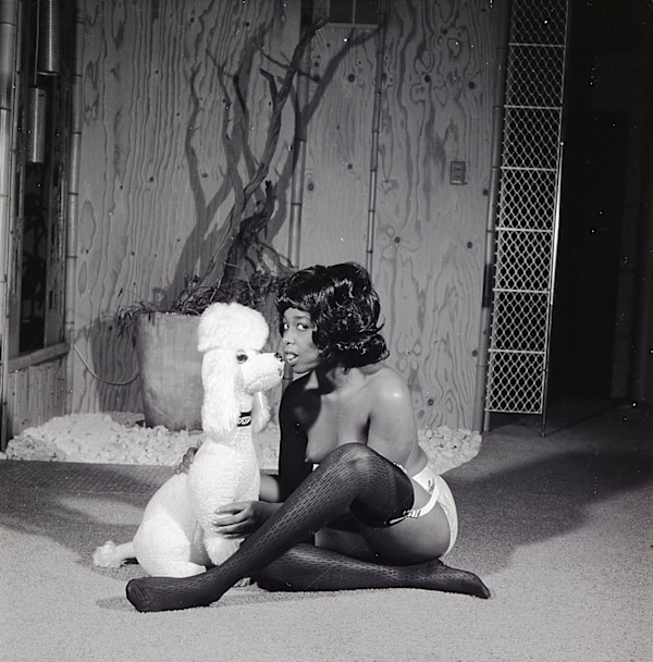 Linda Taylor / Marnie Talbot / Poly Ethelene by Unknown