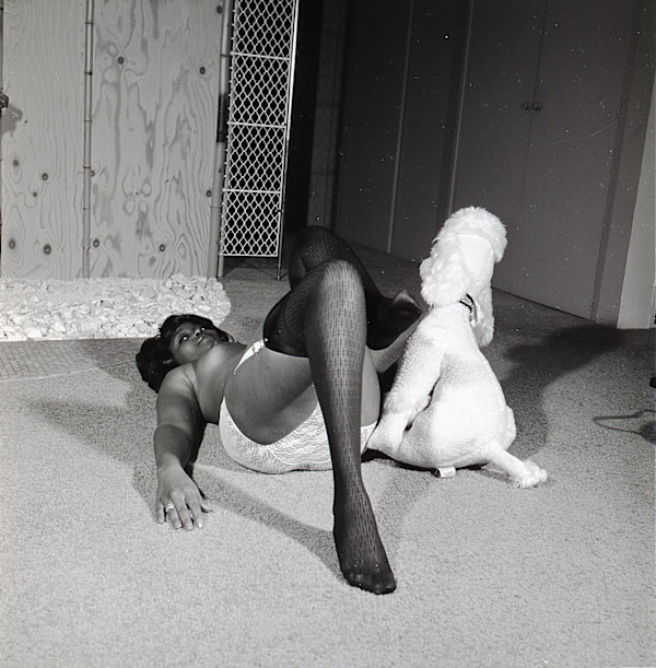 Linda Taylor / Marnie Talbot / Poly Ethelene by Unknown