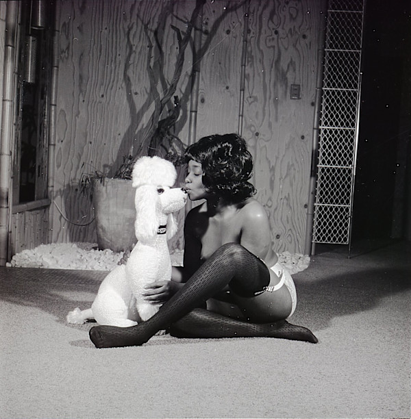 Linda Taylor / Marnie Talbot / Poly Ethelene by Unknown