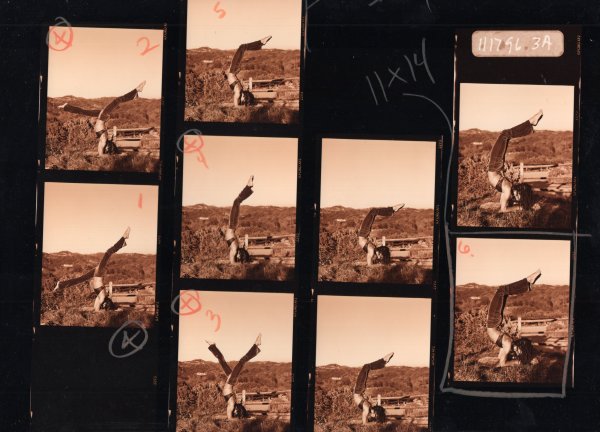 Lisa Bonet contact sheet #3 by Unknown