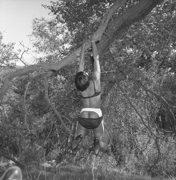 Lorraine Marriot by Unknown