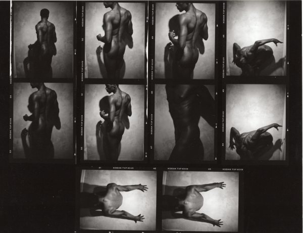 Male nude contact sheet by Unknown