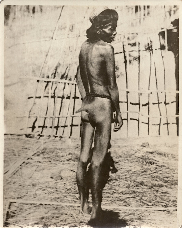 Man with tail by Unknown
