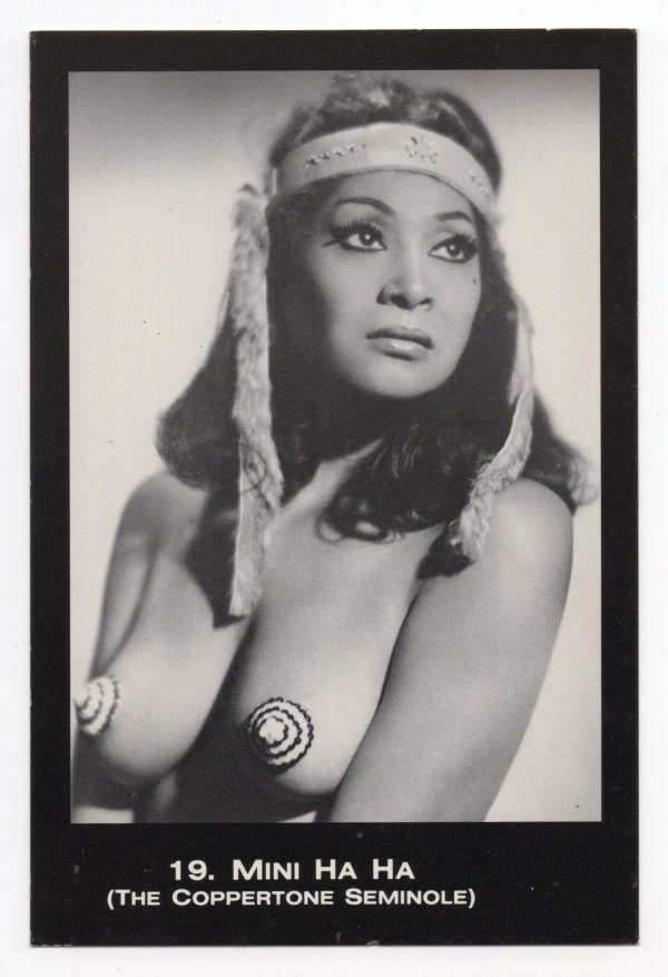 Mini Ha Ha (The Coppertone Seminole) by Unknown