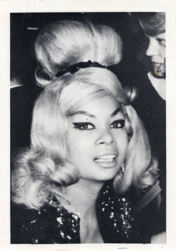 Miss Chiffon by Unknown