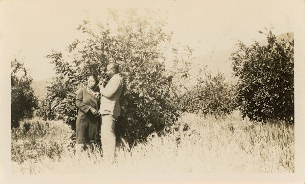 Couple picking fruit by Unknown