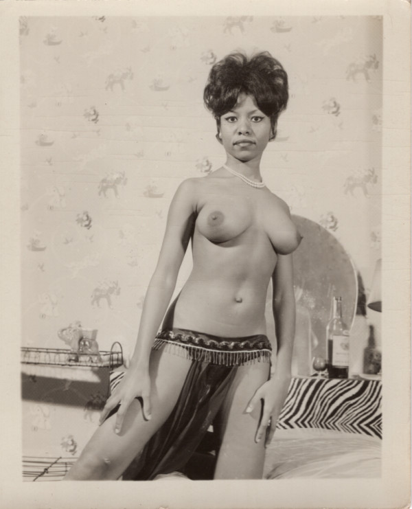 Pinup #237.2 (zebra) by Unknown