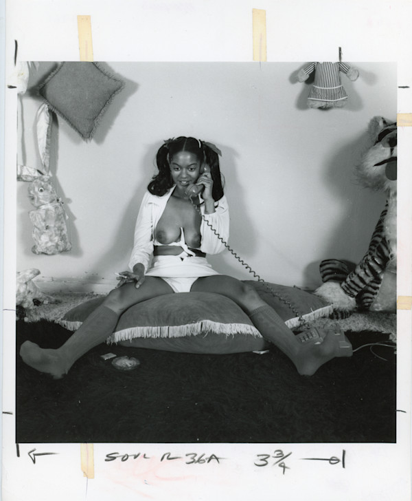Pinup #320 by Unknown