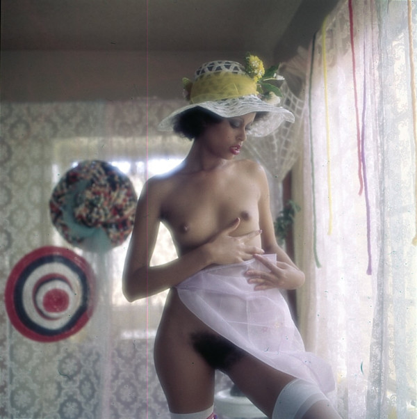 Pinup #395 by Unknown